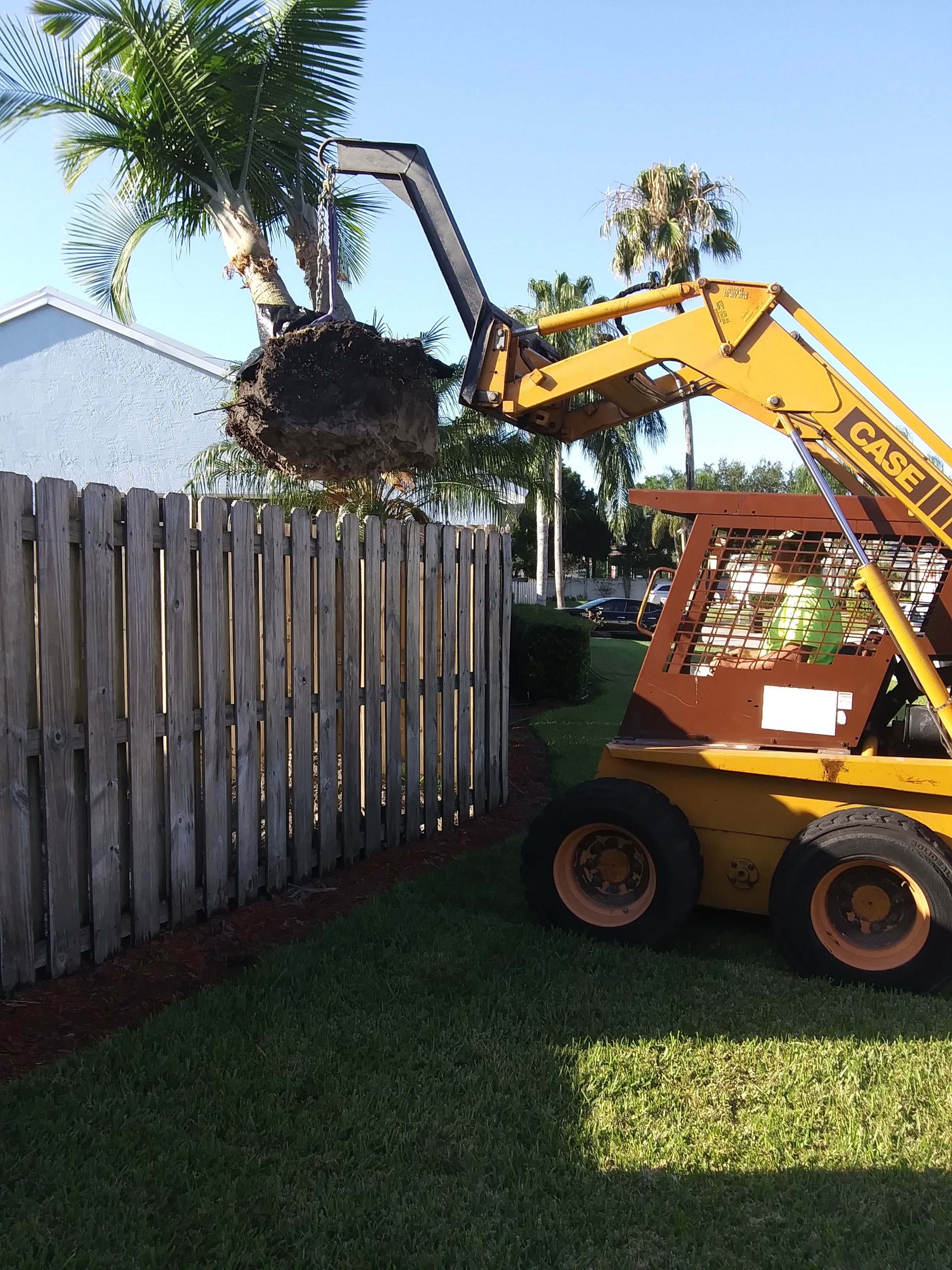 Easy way to remove shrub roots, Deerfield Beach FL