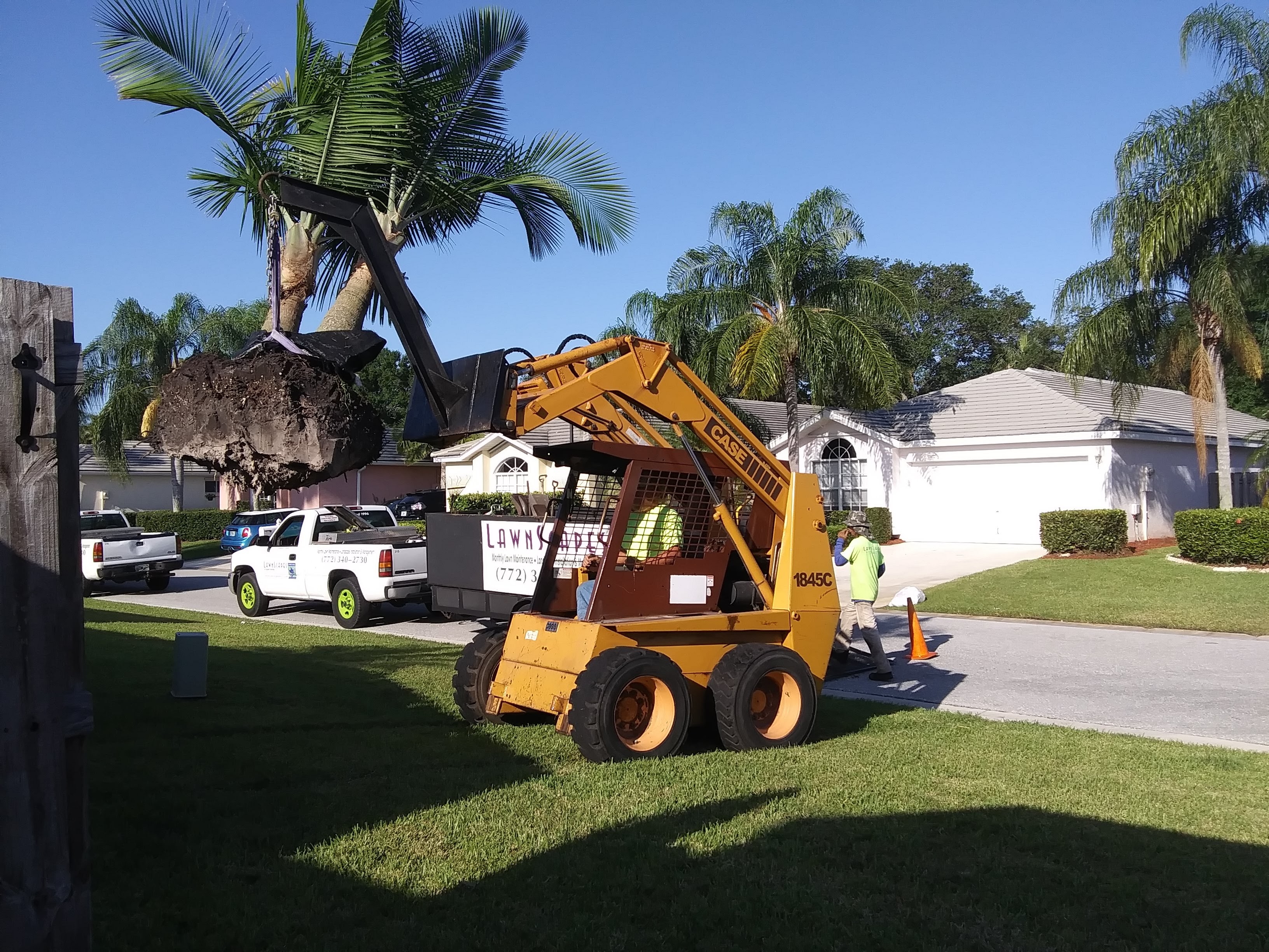 Tree FL Meade palm service removal near Fort me,